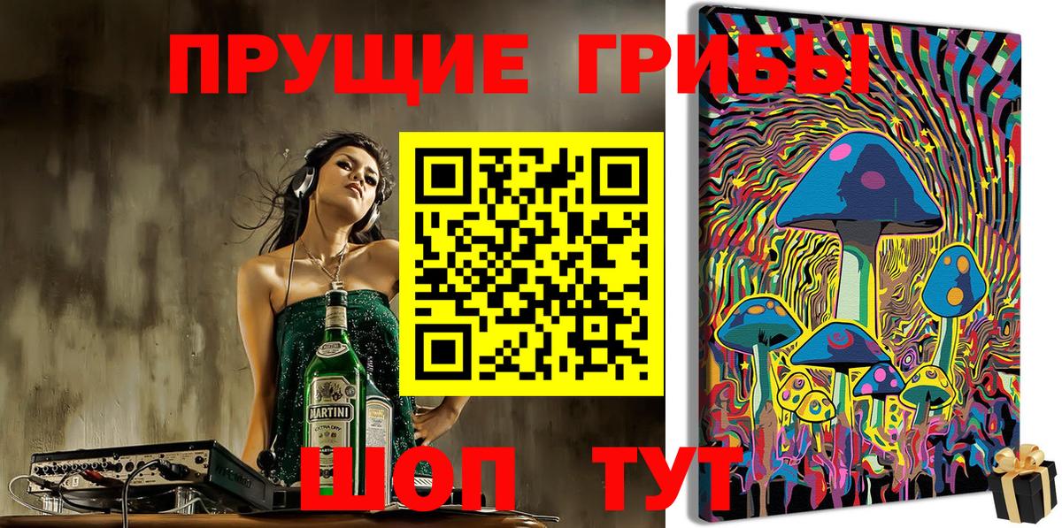 Псилоцибиновые грибы Psilocybine cubensis  Вход с VPN  Саранск  Псилоцибиновые грибы мицелий 